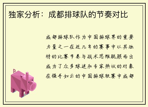 独家分析：成都排球队的节奏对比